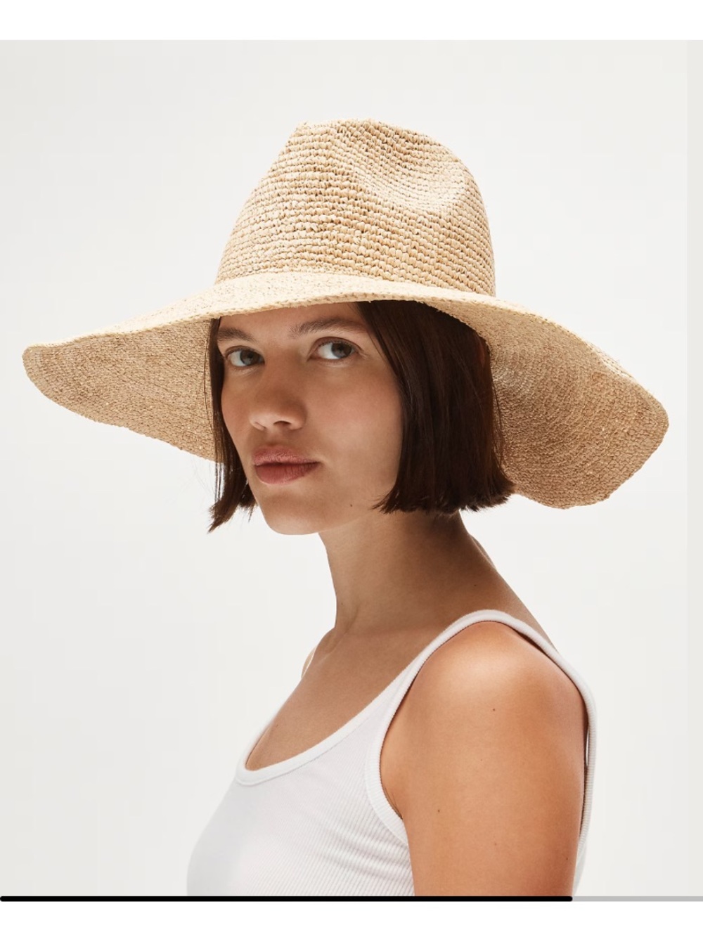 Jcrew raffia wide-brim cowboy hat